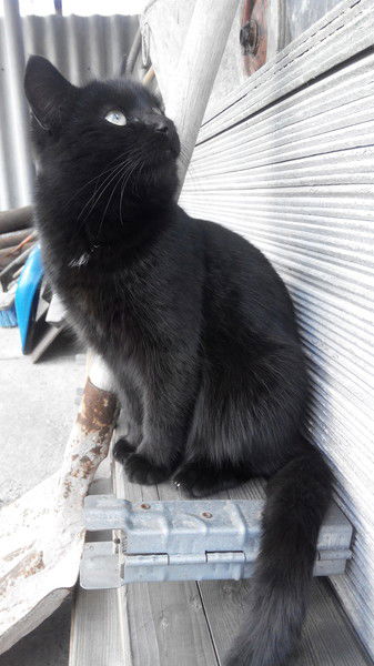 Анна Бондаренко