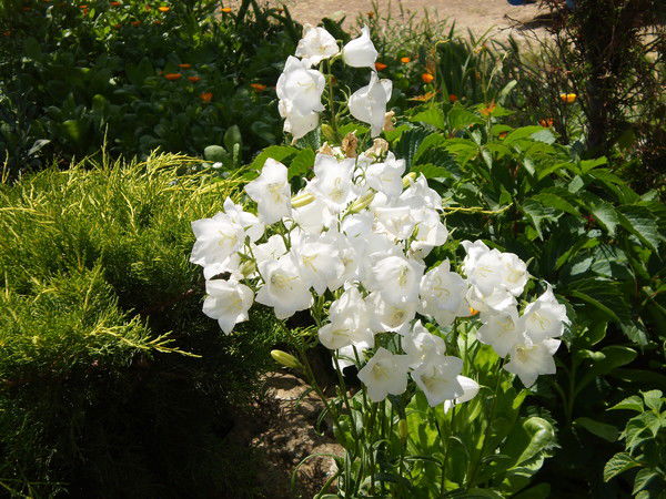 Татьяна Морозова