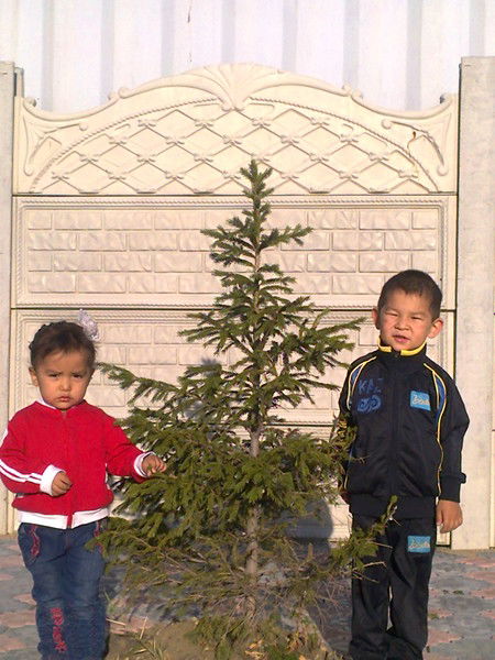 Ринат Кожахметов