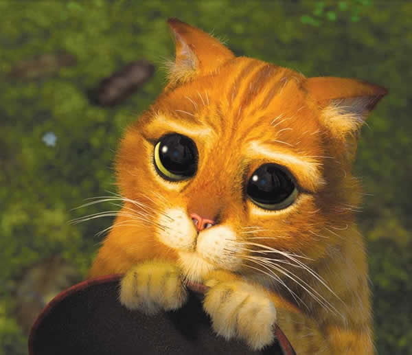 Виктор - - - - -