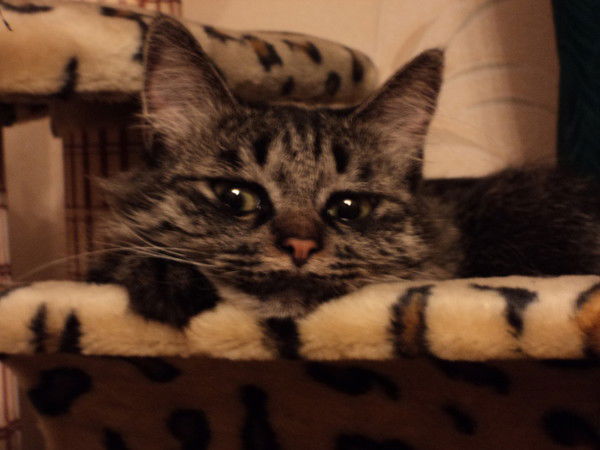 Татьяна Билькевич