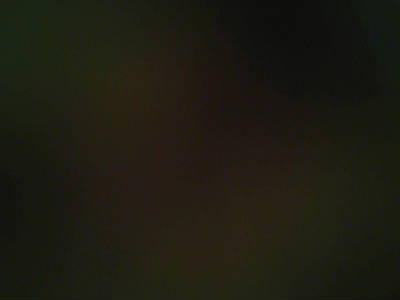 Светлана Матрошкина