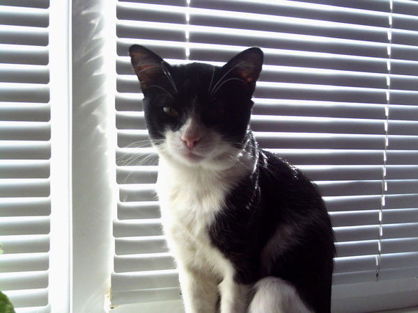 Наталья Назаренко