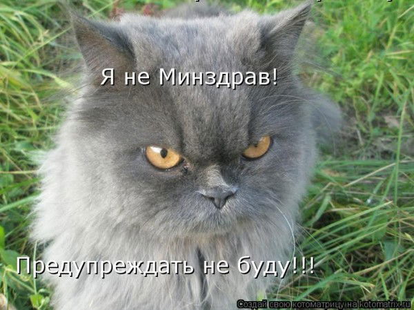 Вячеслав Гурцев