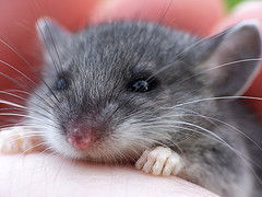 Юлия Ермолаева