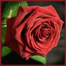 Жадыра Мухаметжанова