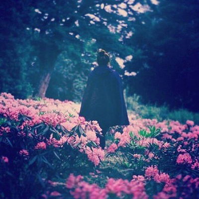 Екатерина Дизлик