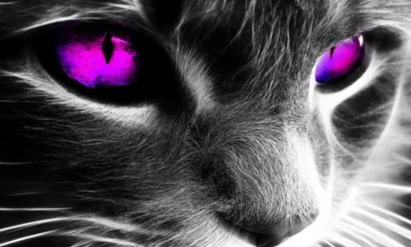 °•.^sergei & Ninusia^.•°