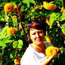 Алла Силуянова