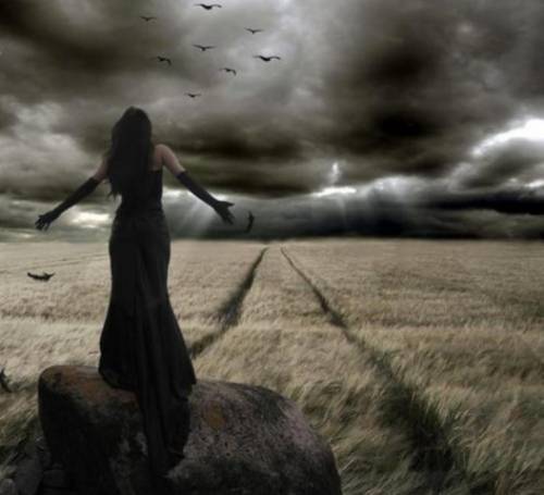 Алексей Куприянов