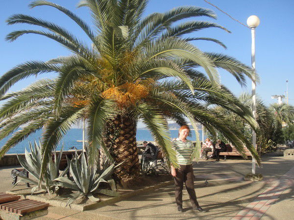 Елена Чулкова