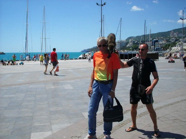 Николай Никитин