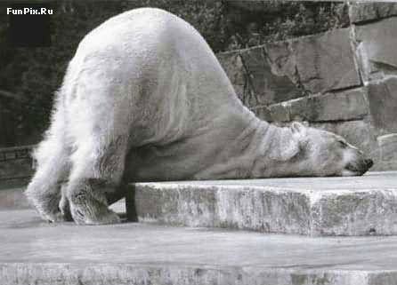 Иван Зененков