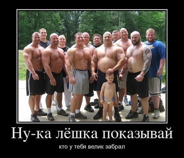 Алексей Швецов