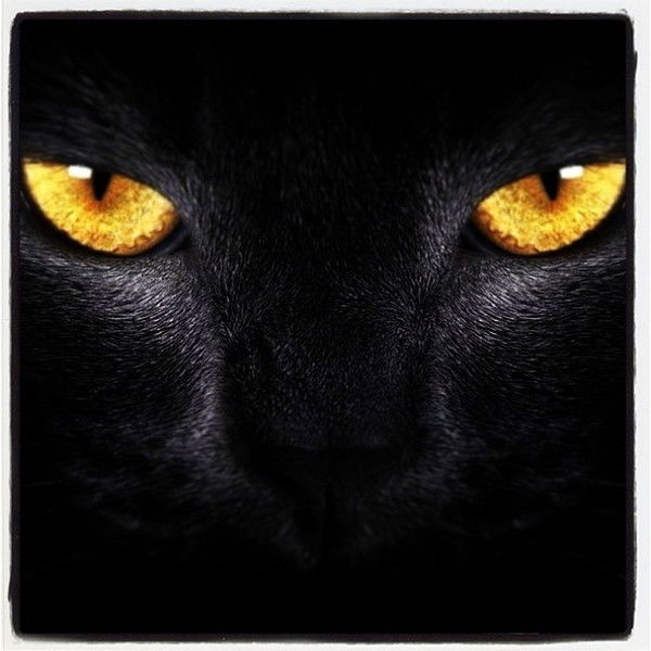 Ольга Водяницкая