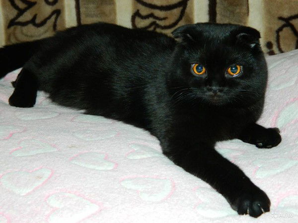 Александр Не Важно