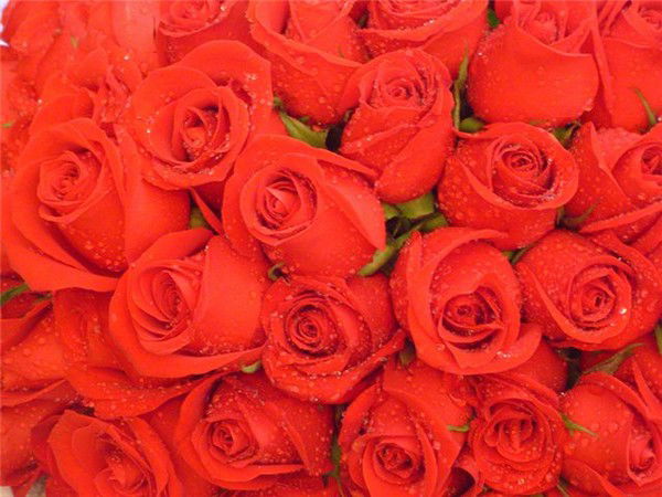 Наталья Натали