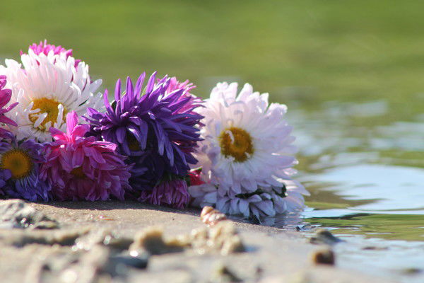 Андрей Кузнецов