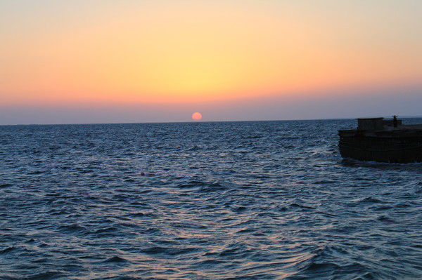 Павел Борщев