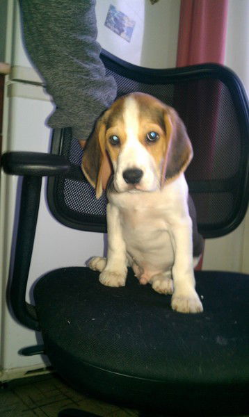 Мария Астахова