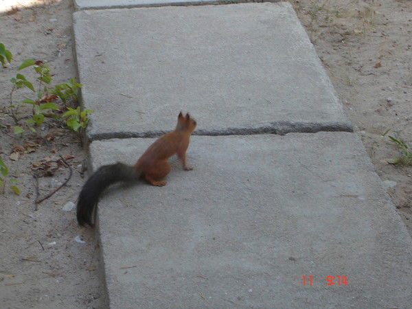 Шарипа Есжановна