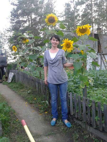 Светлана Романова