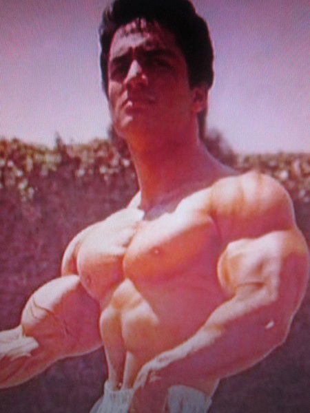 Николай Креник