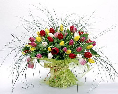 Вера Лободенко