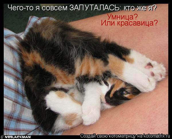 .я Запуталась