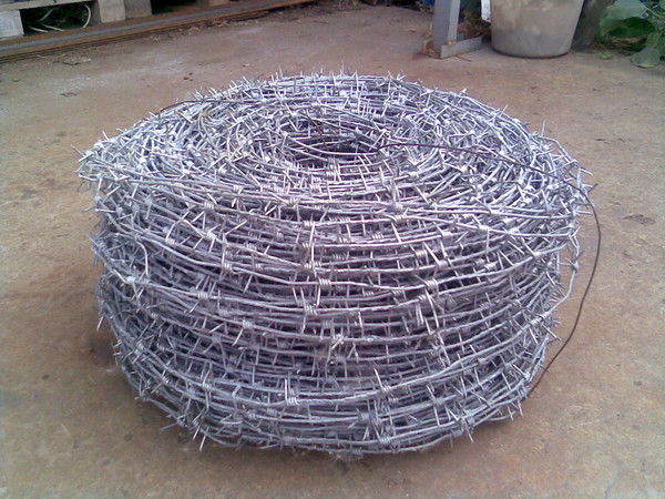 Дмитрий Ежак