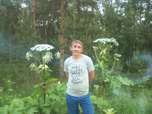 Алексей Кудрявцев