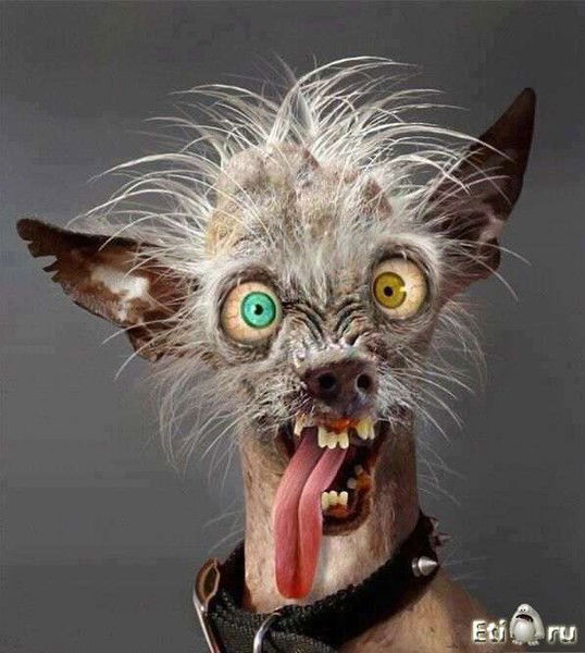 Наталья Богданова