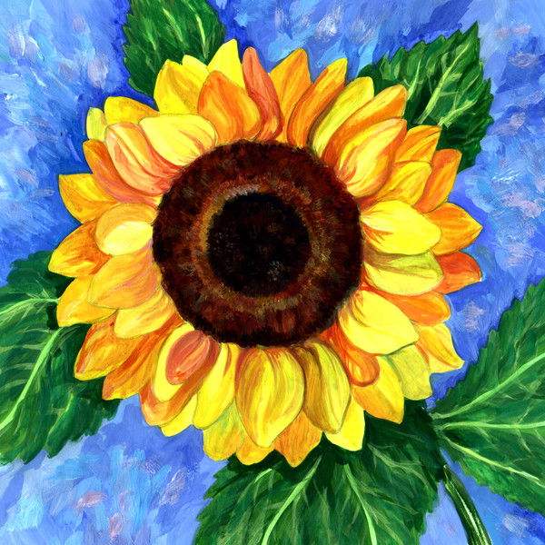 Анастасия Щеглова