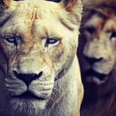 Аминочка Давидова