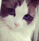 Дюймовочка *_+