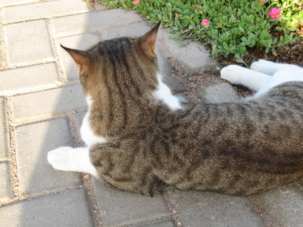 Багдат Максатовна