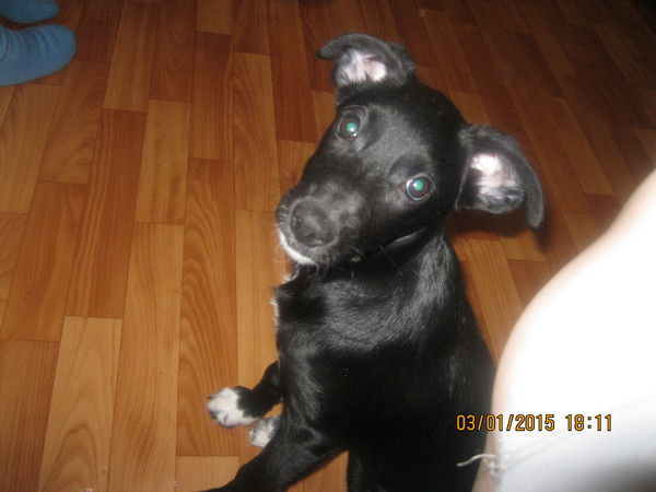 *~*оль4Ик*~* Малышина