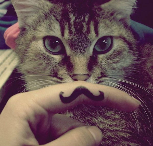 Мадина Темирханова