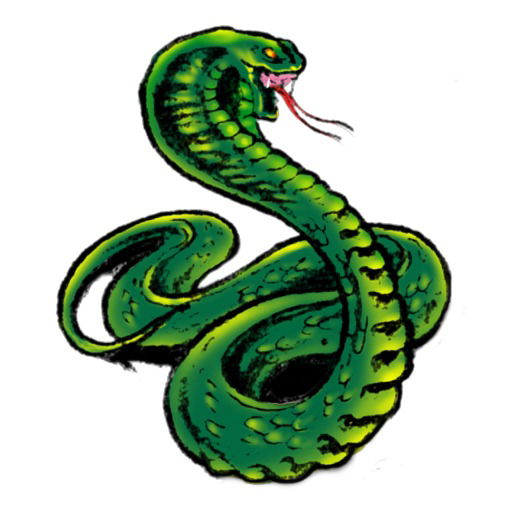 Сергей Епифанов