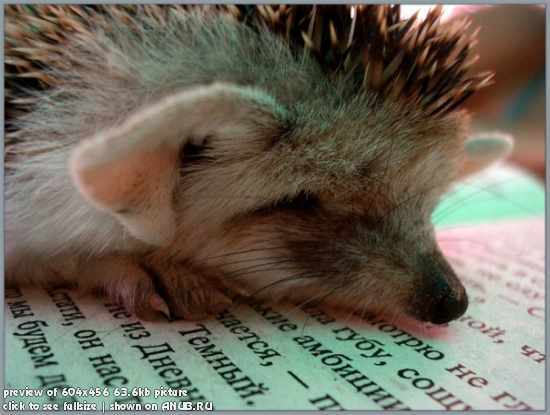 Варвара Иванова