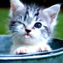 Константин Сергеев