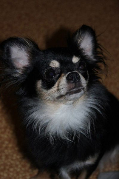 Юлия Медведева