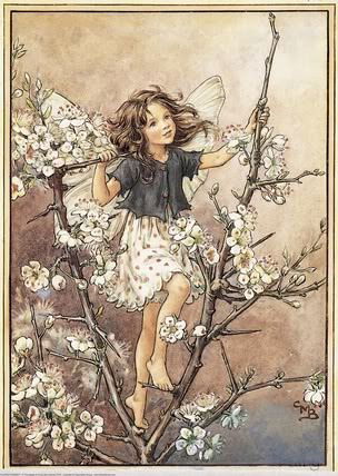 Татьяна Савкина