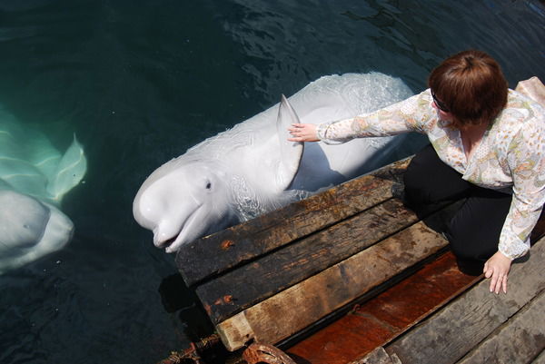 Ольга Мусина