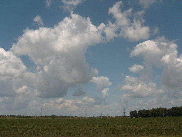 Алексей Андреенко