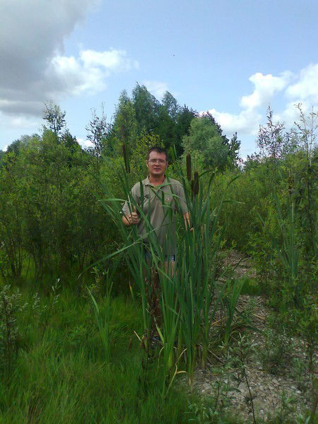 Алексей Галкин