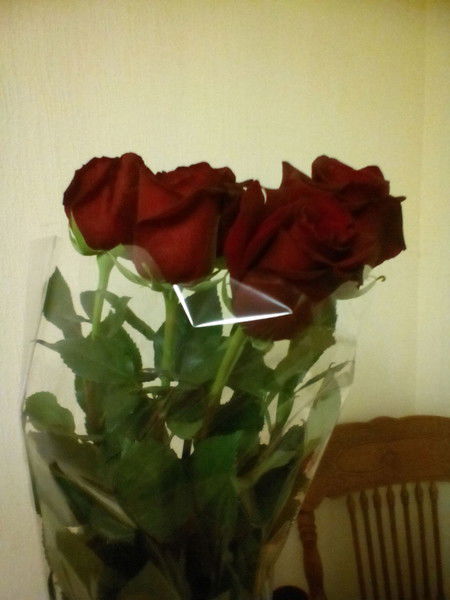 Елена Сидруева