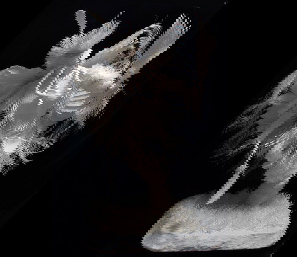 Александр Дерюгин