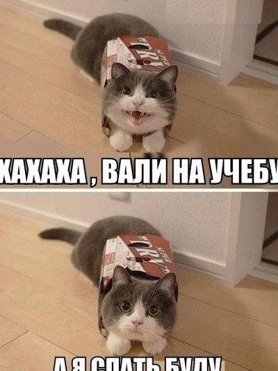 Андрей Виноградов