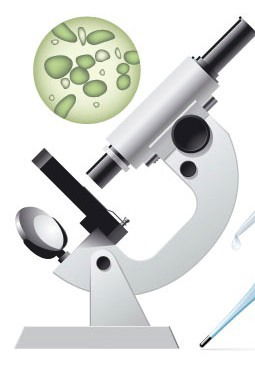 Астанинский Филиал Цсм